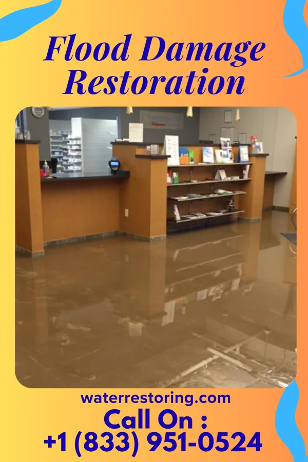 Flood Damage Restoration in Howell, MI