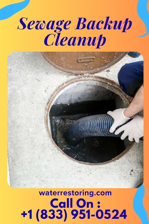 Sewage Backup Cleanup in Howell, MI