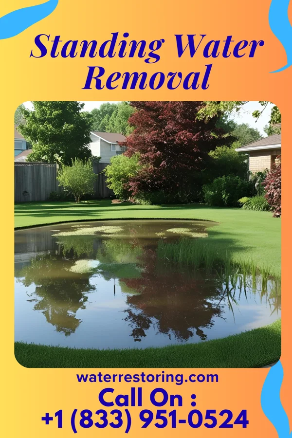 Standing Water Removal in Howell, MI